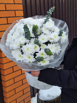 Букет белых хризантем