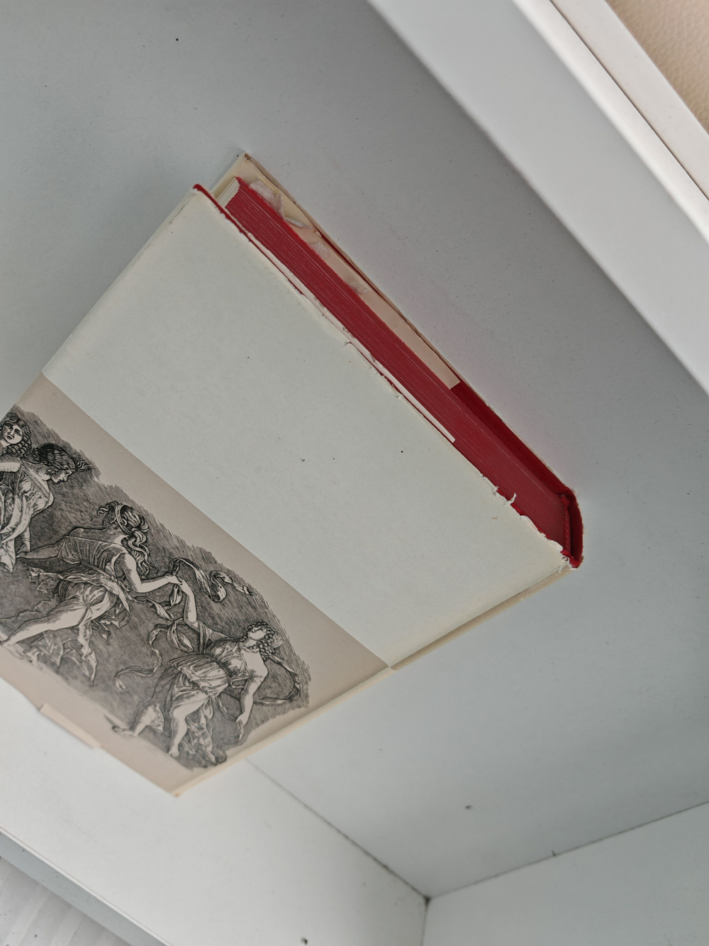 Европейская новелла Возрождения