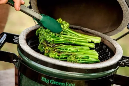Гриль угольный Big Green Egg Mini EGG