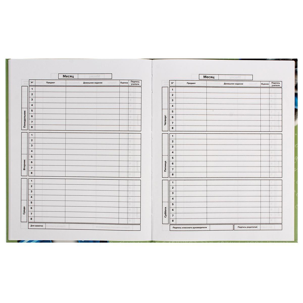 Дневник школьный 48л "Веселый енот" (Феникс+)