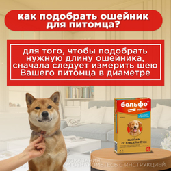 Больфо ошейник от блох и клещей для собак и кошек средних и крупных пород