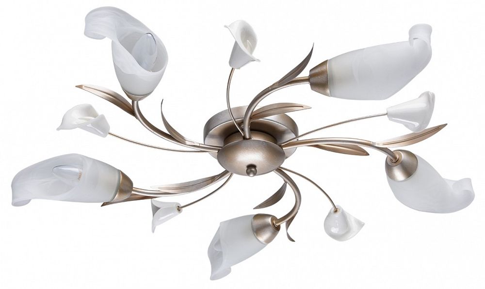 Потолочная люстра MW-Light Восторг 19 242016205