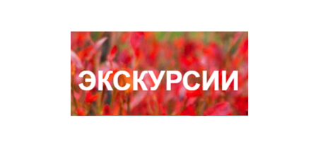 Экскурсии