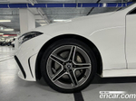 Mercedes-Benz CLS-Class C257 CLS300d 4MATIC (06.2023)