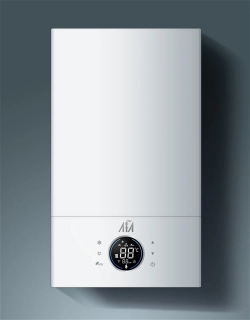 ЛГА C 24