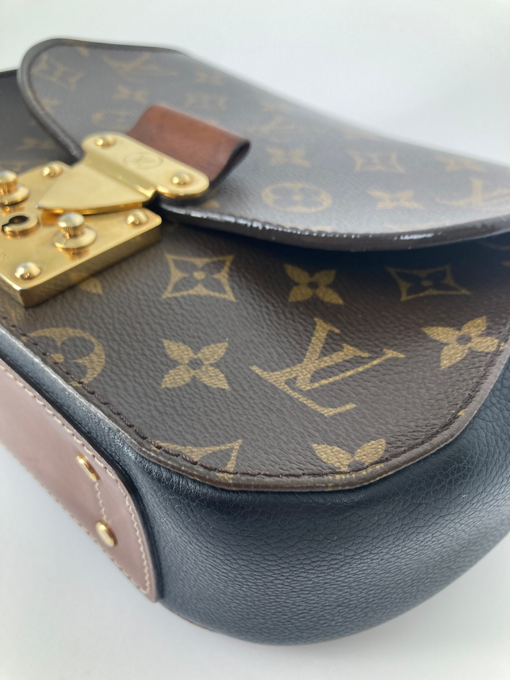 Сумка Louis Vuitton Eden Monogram Canvas Camel bag