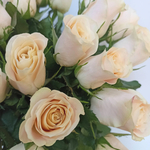 Роза Кения Шармант