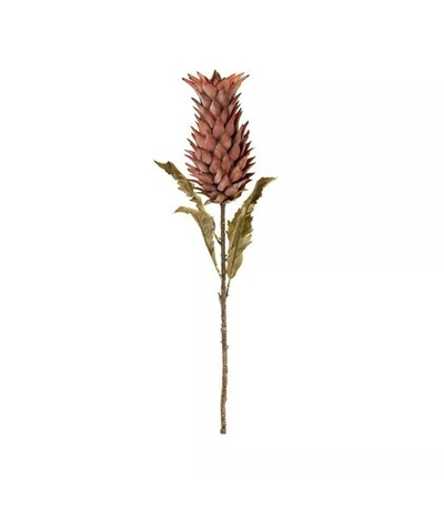 Бромелия терракотовая 83см