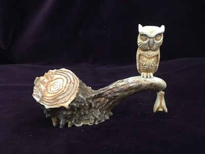 Сова и летучая мышь