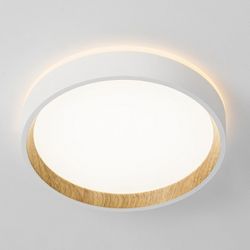 Накладной светильник Citilux Etalon CL750180