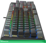 Клавиатура A4Tech Fstyler Neon черный (FS100)