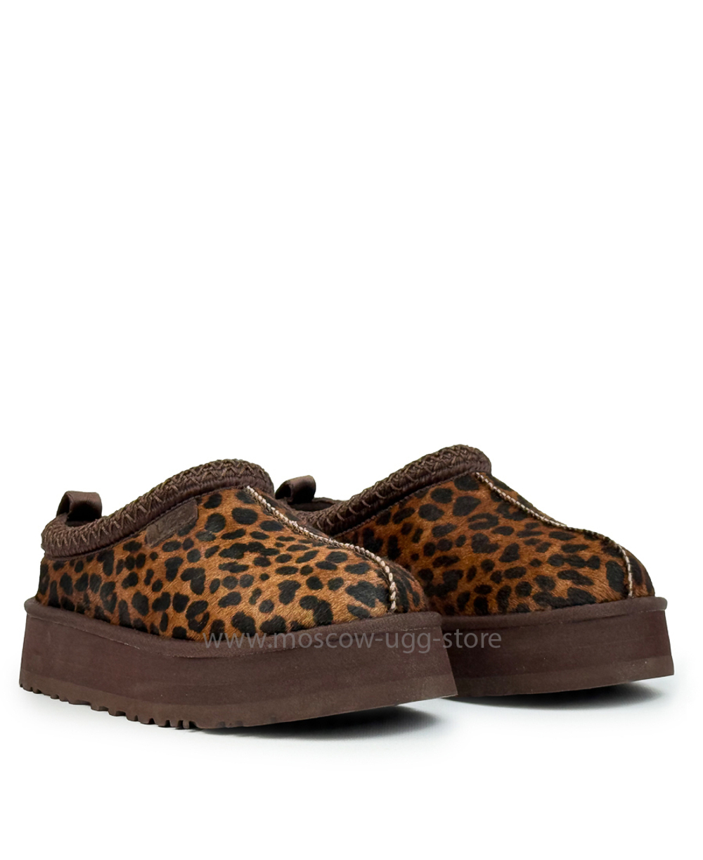 TAZZ - Caspian Burnt Cedar