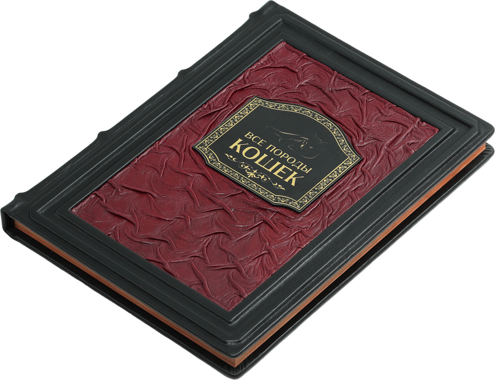 Все породы кошек