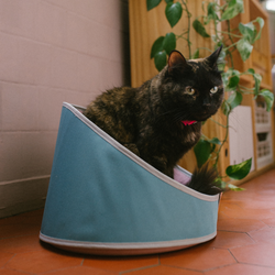 Лежанка KOMBUCHA Zee.Cat