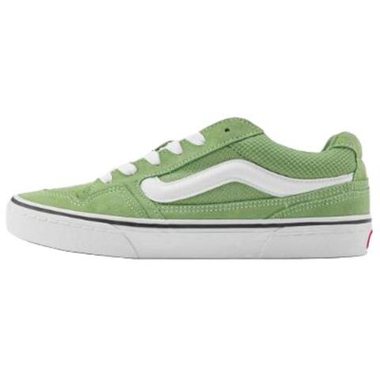 Мужские кеды Vans Caldrone 'Green White' VN000CSPEMZ
