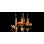 NorStone Banana Plugs, gold, пружинные разъемы для акустического кабеля (4 шт.) (NORBANX4)