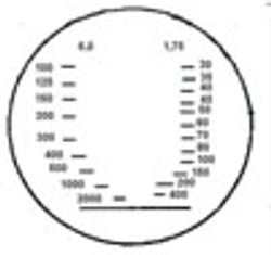 Бинокль полевой БПЦс2 10*40 с/с Р (обрез)