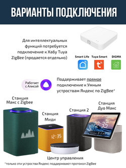 Умная евророзетка Tuya, ZigBee, управление голосом Алиса, белая, до 16А и 3500Вт, память состояния