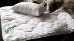 Одеяла и подушки с тенцель волокном, Лежебока