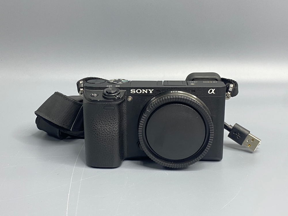 Sony A6300 1100 кадров