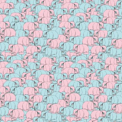 Розовые и Голубые зайцы