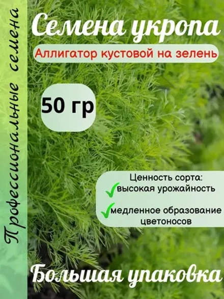 Укропа Аллигатор кустовой на зелень