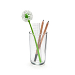 Набор канцелярских кнопок wishpins