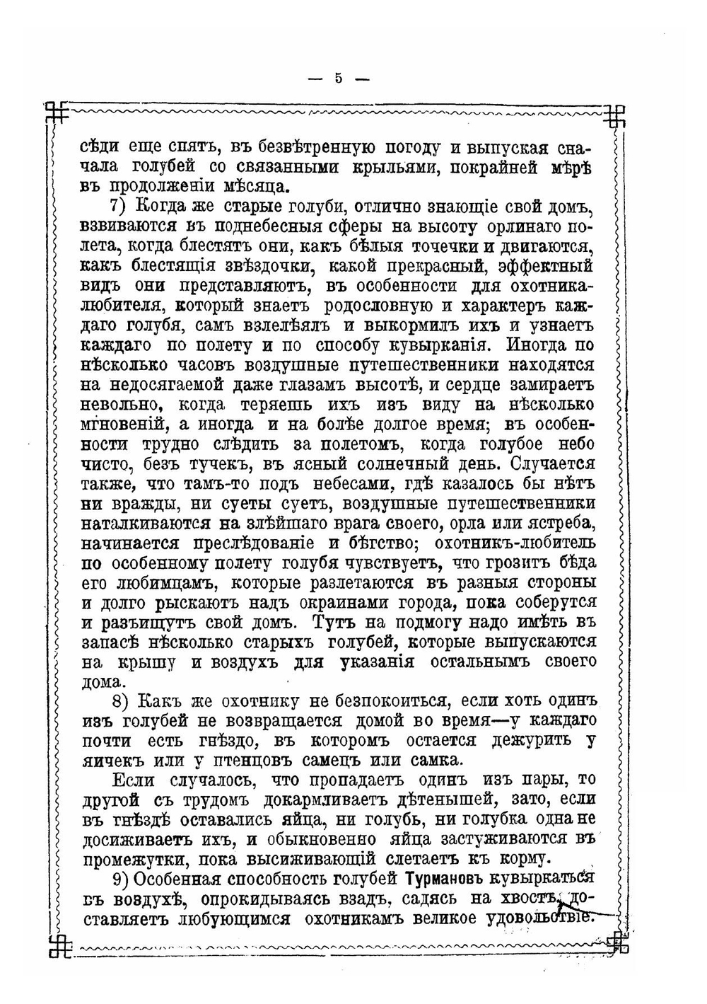 Голубиный охотник | Пальцев Василий Михайлович
