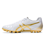 Кроссовки Asics Ds Light Club AG, 1103A027-122