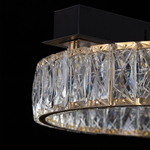 Citilux PALANT CL325142 LED Люстра хрустальная Чёрный+Бронза