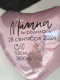 Воздушные шары №1448