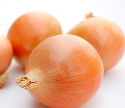 Самурай семена лука репчатого (Гавриш)