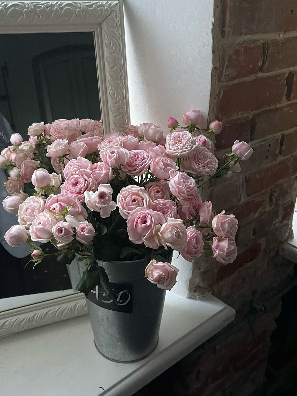 Пионовидная кустовая роза Мэнсфилд Пинк парк