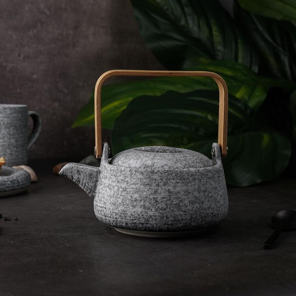 Чайник 360 мл d 12,9 см h8 см дерев. ручка Stone Untouched Taiga P.L. Proff Cuisine [1]