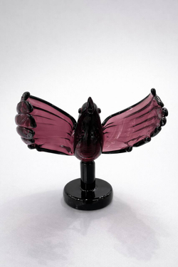 Птица Парадизо Роза