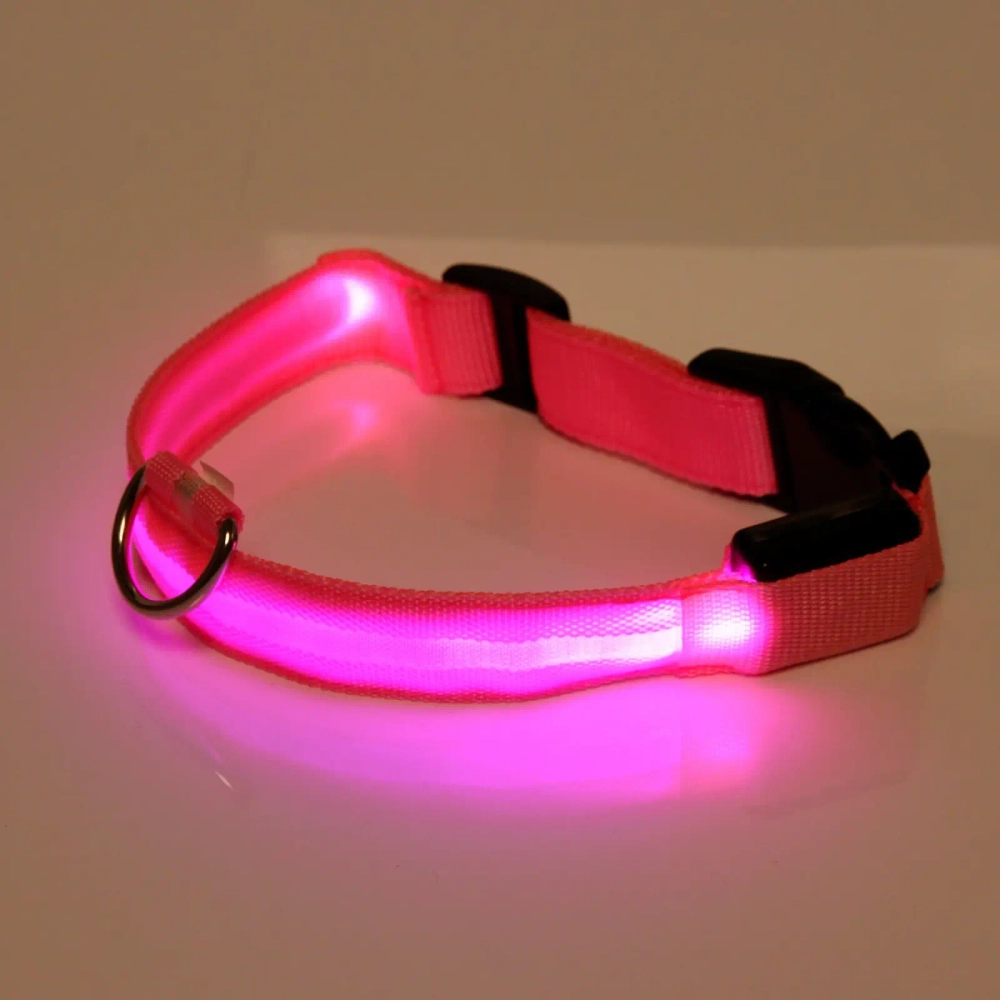 Ошейник для собак «Люмисцент» 2,5*50см светящийся, микс 6 цветов