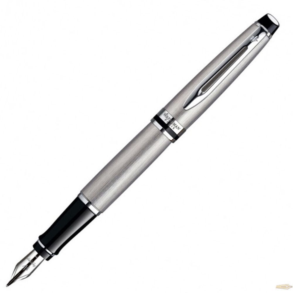 Перьевая ручка Waterman Expert 3 Stainless Steel CT (S0952040)