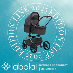 Коляска 2 в 1 Labala Raiz Edition Line 2025 Anthrazit