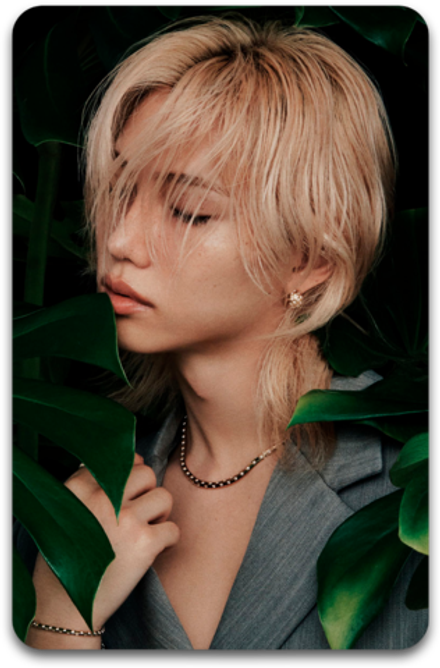 Карта / STRAY KIDS #5203