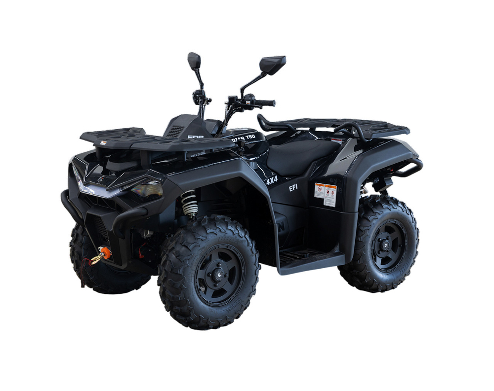 Квадроцикл HiSUN GUARDIAN 750S с ПСМ