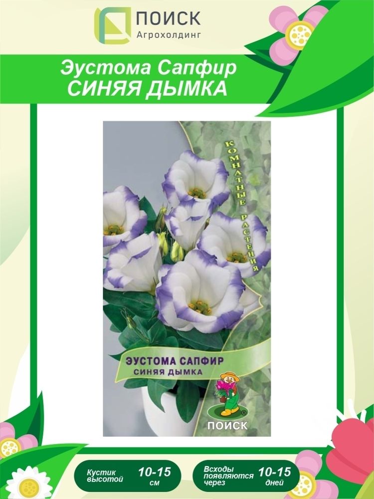 СЕМЕНА САПФИР СИНЯЯ ДЫМКА 10-15 СМ 5ШТ