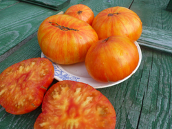 Помидоры - Beauty King - Король Красоты