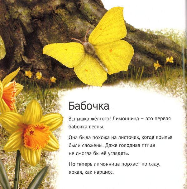 Кто живет у нас на даче. От мала до велика. Майк Анвин