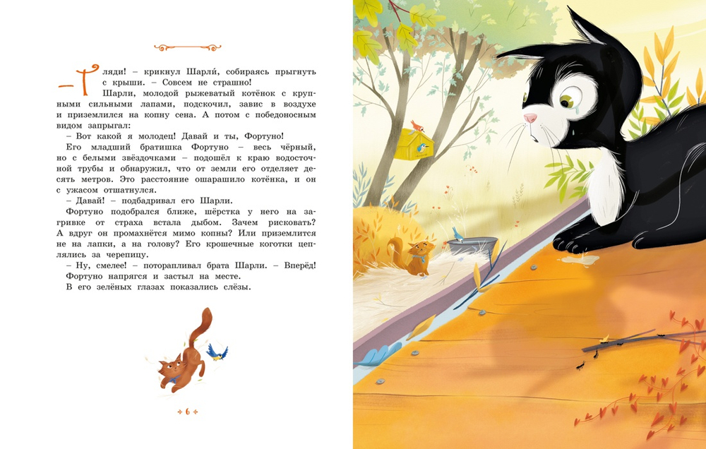 Котёнок, который всего боялся