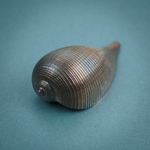 Декоративная раковина