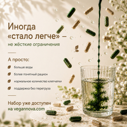Набор Весеннее обновление (хлорофилл, спирулина+хлорелла, псиллиум)