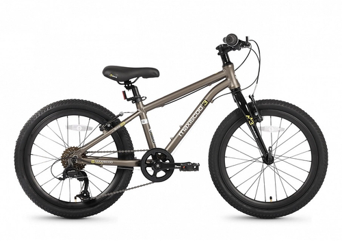 Велосипед 20'' Maxiscoo 3BIKE M Коричневый Матовый (2026)