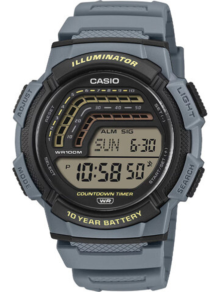 Мужские наручные часы Casio WS-1800-2A