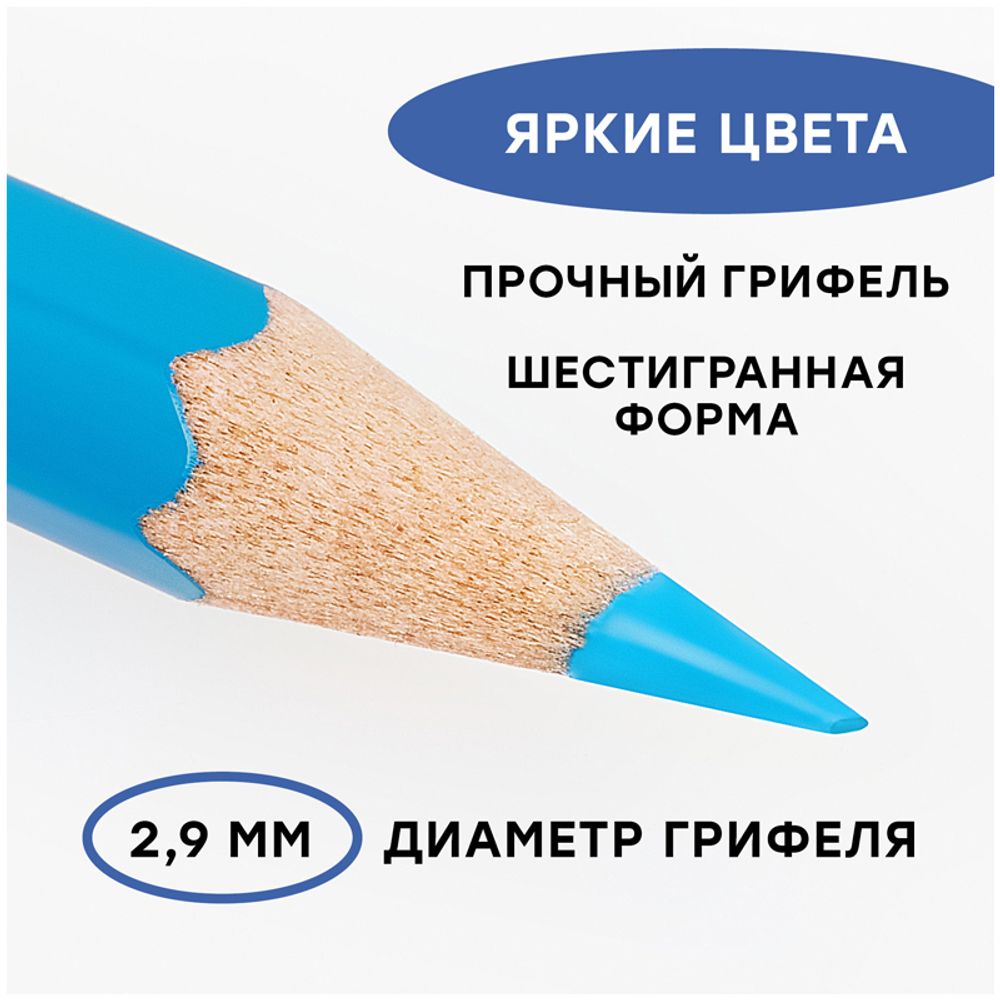 Карандаши акварельные 36 цв. Гамма Лицей + кисть