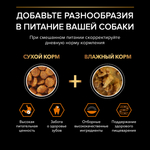 Сухой корм PRO PLAN EVERYDAY NUTRITION для взрослых собак мелких и карликовых пород курица 700 г